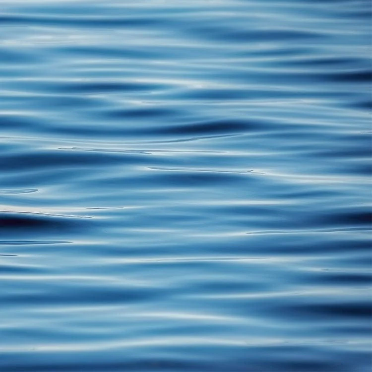 Scrapbook Paper - Lake - Happy Place - Image 3