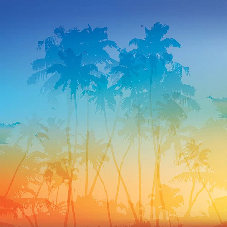 Scrapbook Paper - Tropical Breeze - Image 2