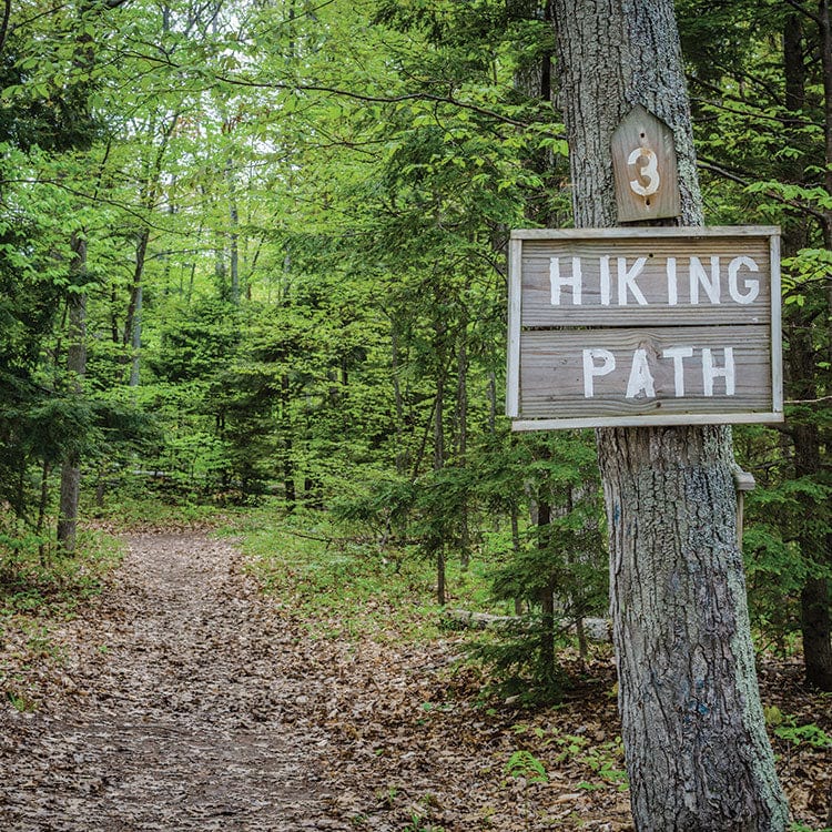 Scrapbook Paper - Hiking Path - Image 2