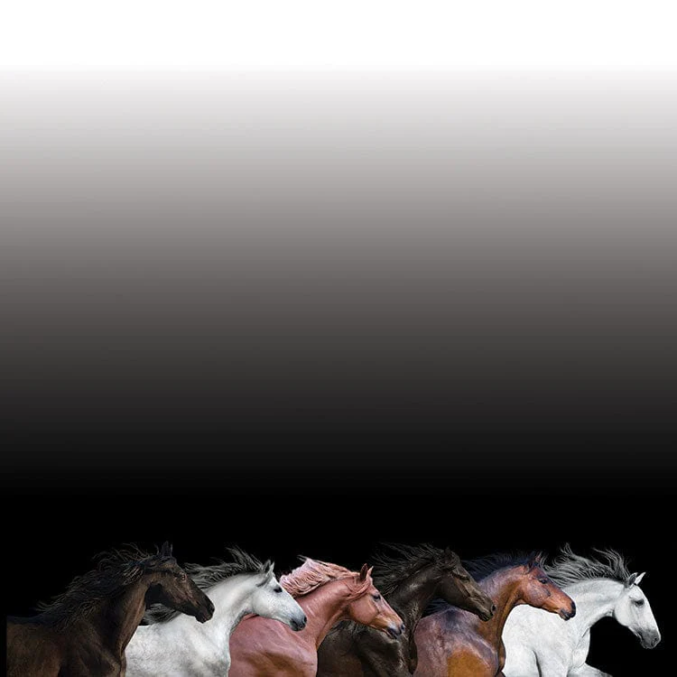 Scrapbook Paper - Galloping Horses - Image 2