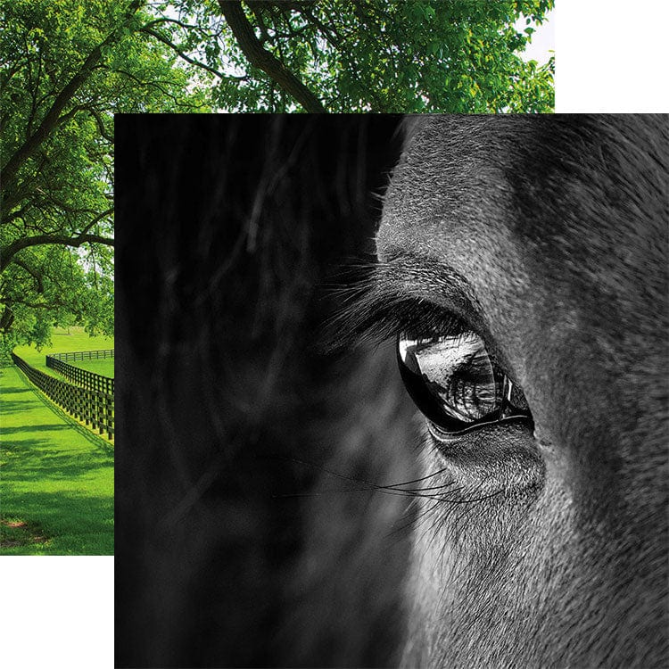 Scrapbook Paper - Horse Face