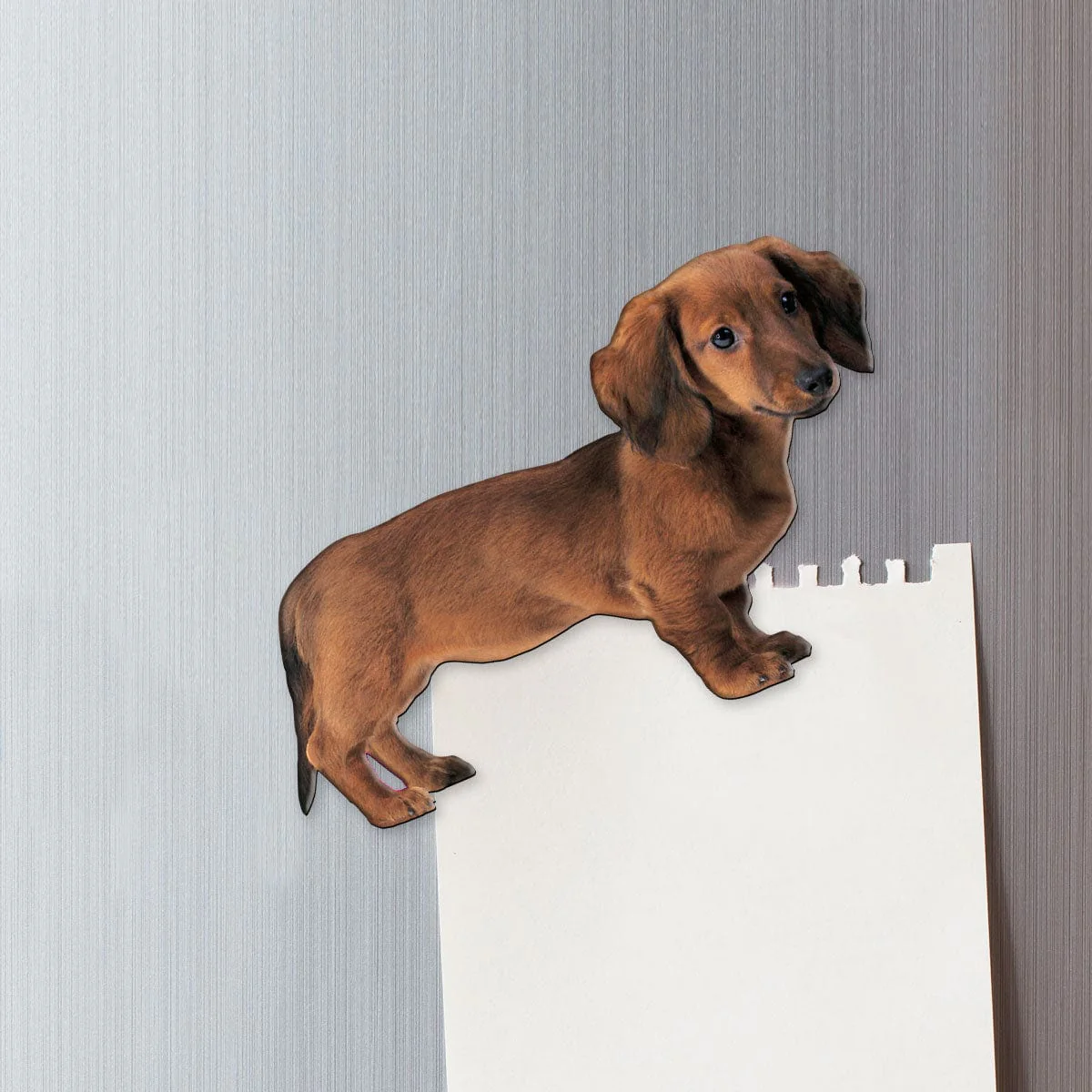Fridge Magnet - Dachshund Dog - Image 3